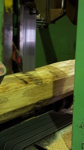 Eiche wird halbiert
