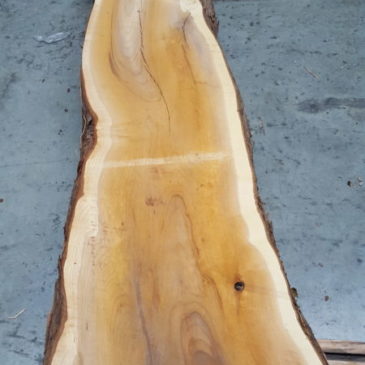 The new trend … yew lumber