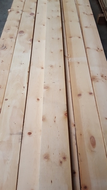 Stone pine – Queen of the woods