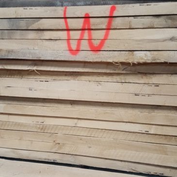 Wild oak is still trendy …